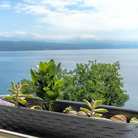 With Seaview *